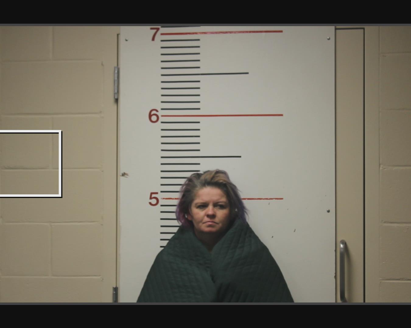 HILL, TISHA MICHELLE booking photo