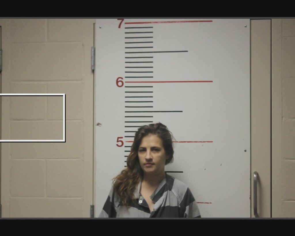 GIBSON, SHELBY LYNN arrested in Anderson County, Texas mugshot