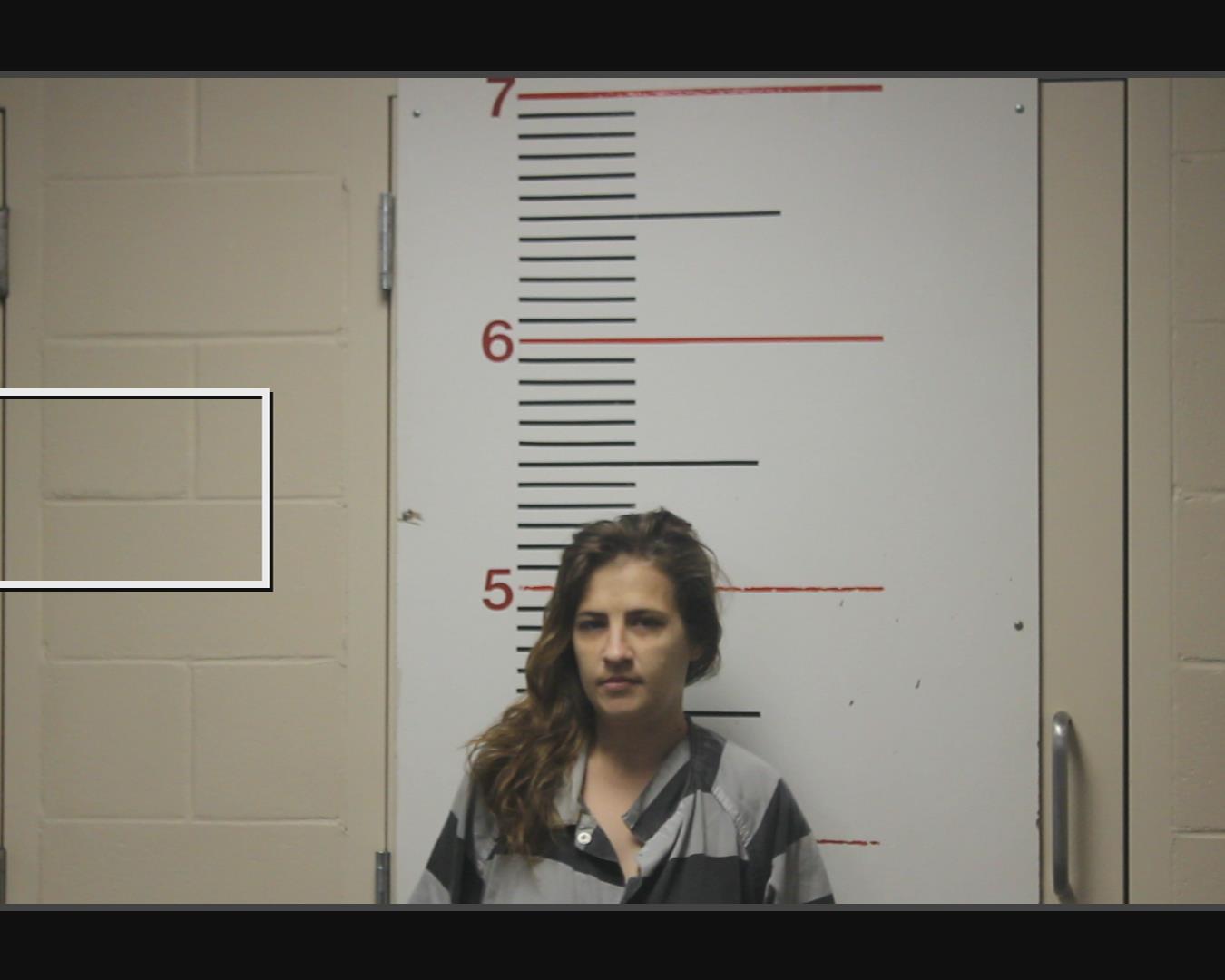 GIBSON, SHELBY LYNN booking photo