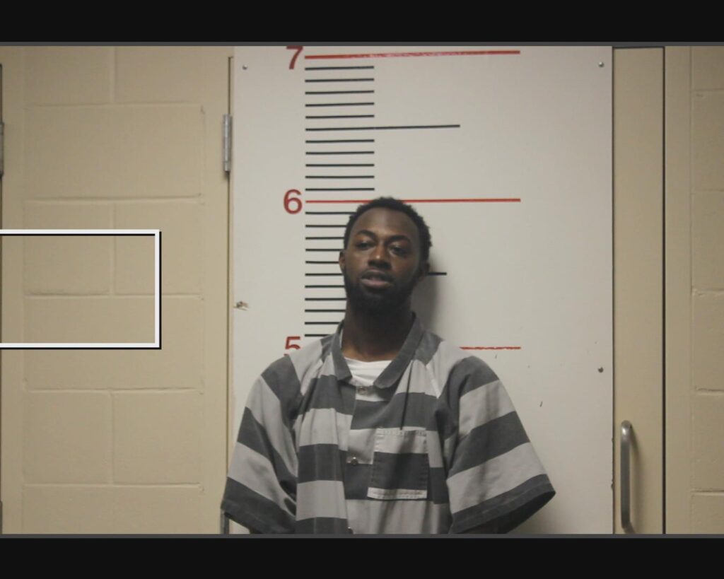 HICKS, DEODRICK JAILEN JAMES arrested in Anderson County, Texas mugshot