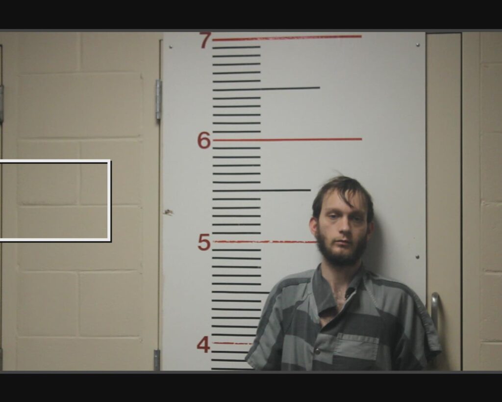 VENOY, MADISON arrested in Anderson County, Texas mugshot