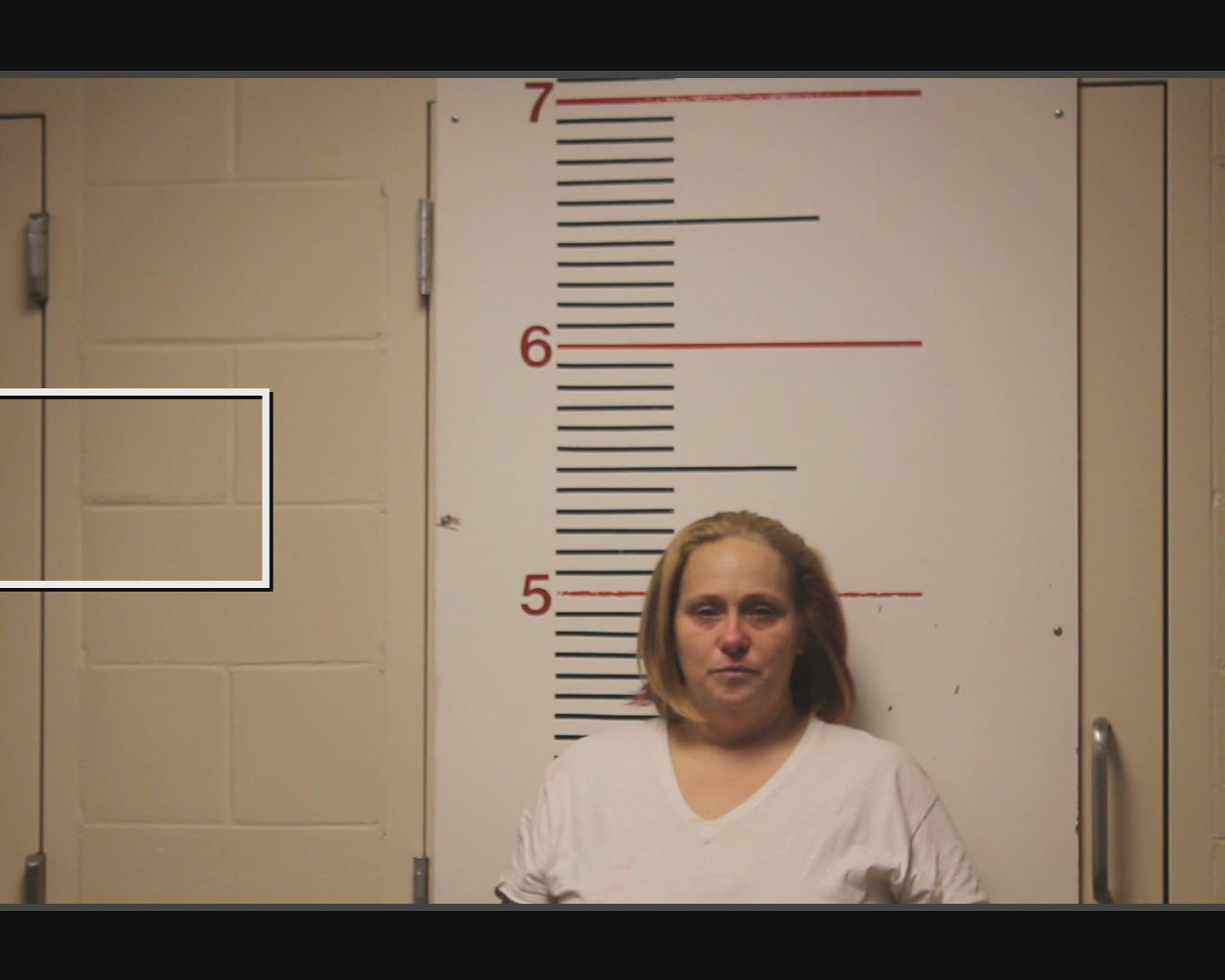 WALKER, ASHLEY NANCE booking photo