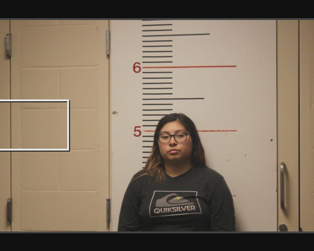 DELAROSA, MICHELLE ELODIA arrest record in Anderson County, Texas DELAROSA, MICHELLE ELODIA arrested in Anderson County, Texas mugshot