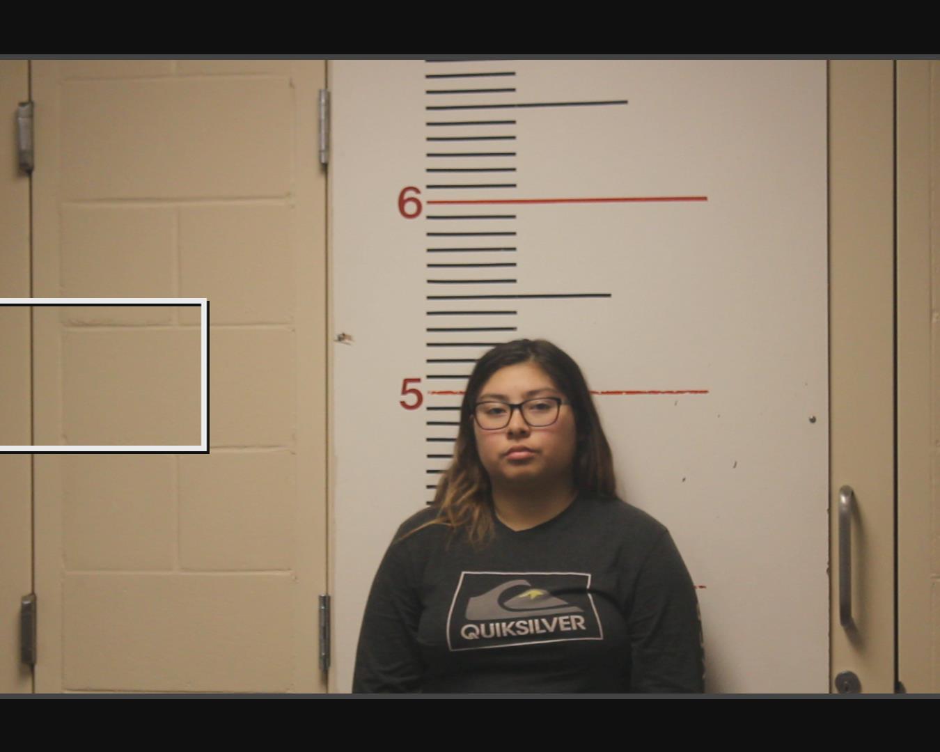 DELAROSA, MICHELLE ELODIA booking photo