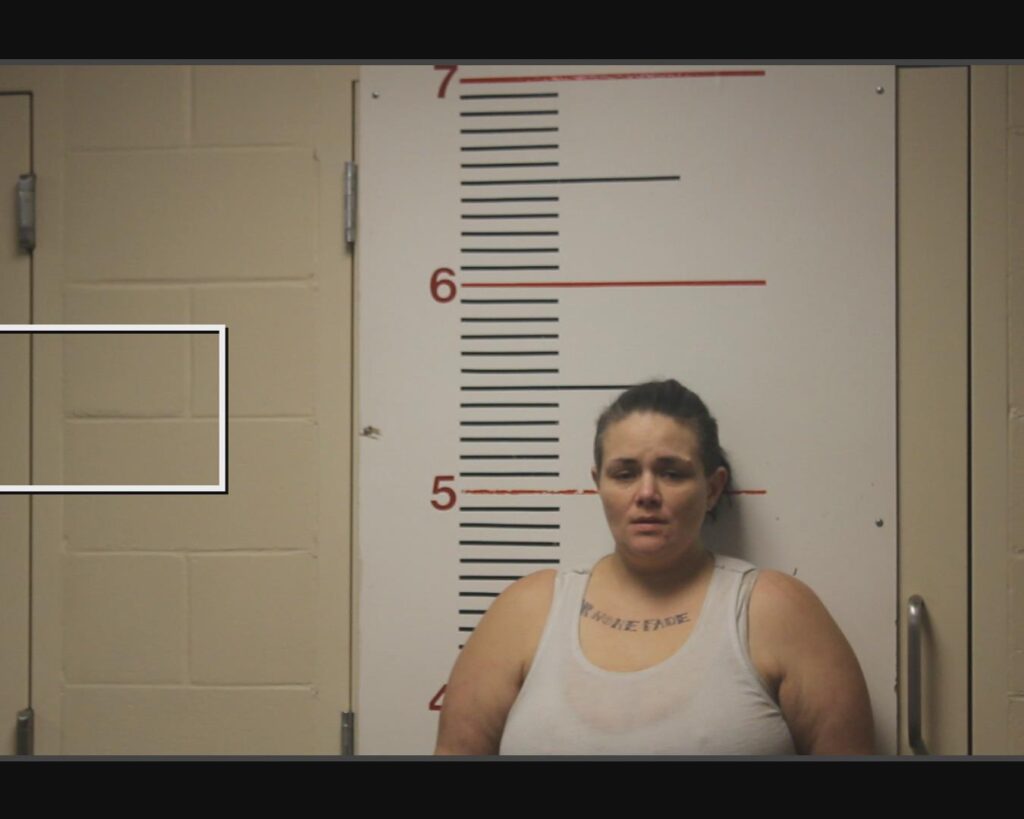SHOCKEY, BRITTNEY NICOLE arrested in Anderson County, Texas mugshot