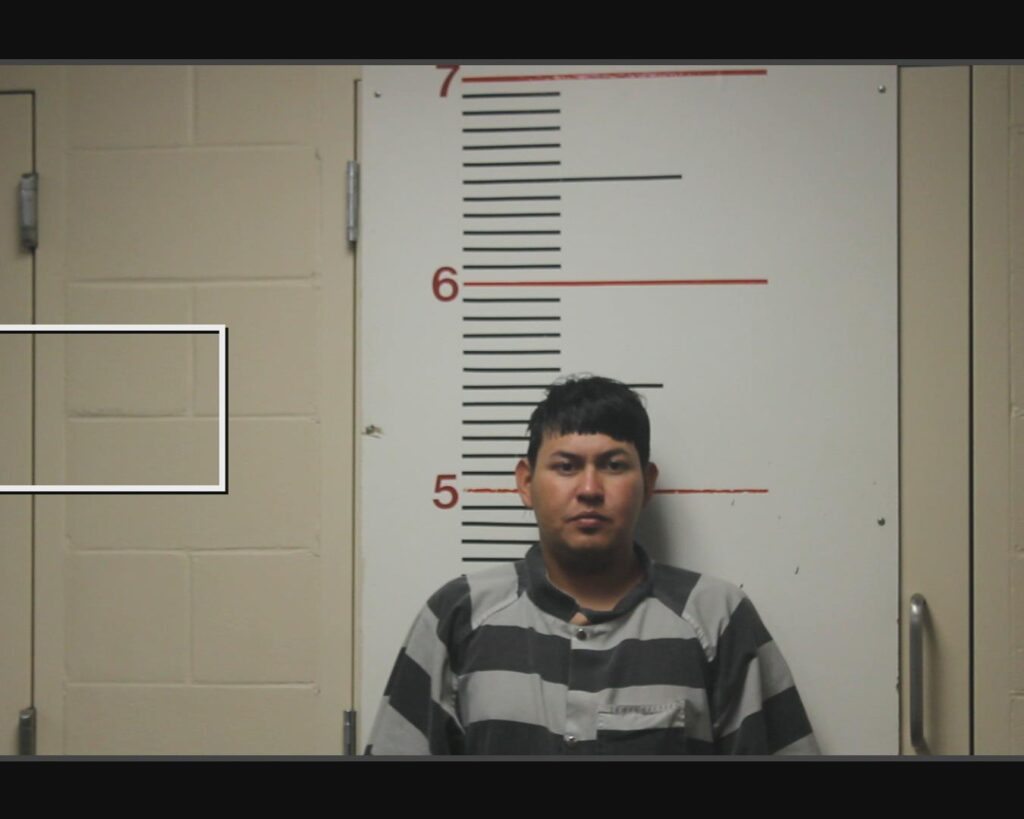 PERALTA - FLORES, LARIS ERITSON arrest record in Anderson County, Texas PERALTA - FLORES, LARIS ERITSON arrested in Anderson County, Texas mugshot
