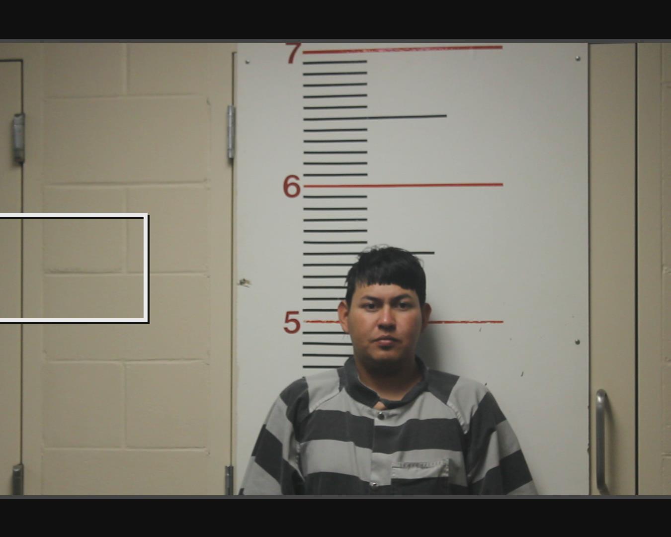 PERALTA - FLORES, LARIS ERITSON booking photo