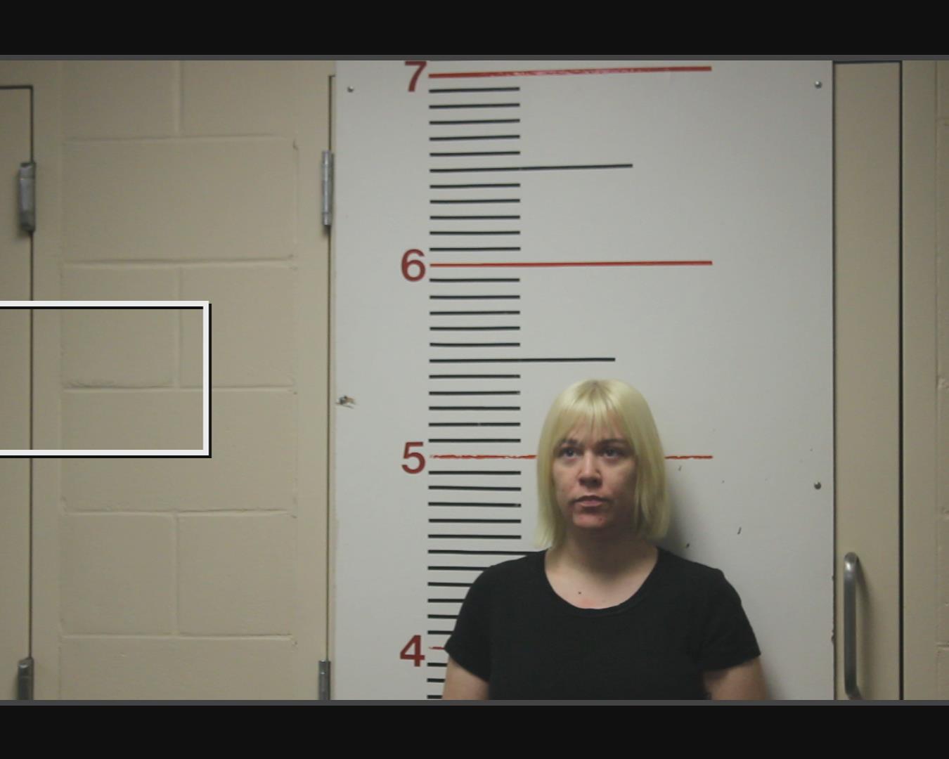 THOMPSON, TIFFANY KENNA booking photo