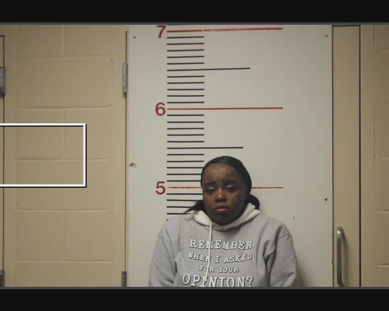 DAVIS, MONNIE SHAMEL booking photo