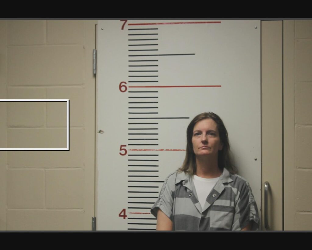 BARLOW, RACHELLE ANN arrest record in Anderson County, Texas BARLOW, RACHELLE ANN arrested in Anderson County, Texas mugshot