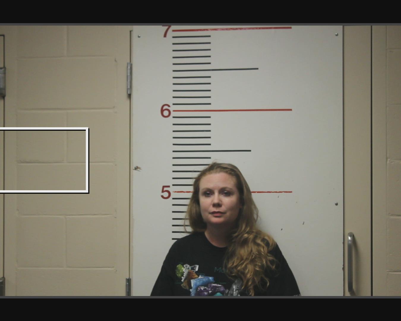 ORPIN, LISA CHRISTINE booking photo