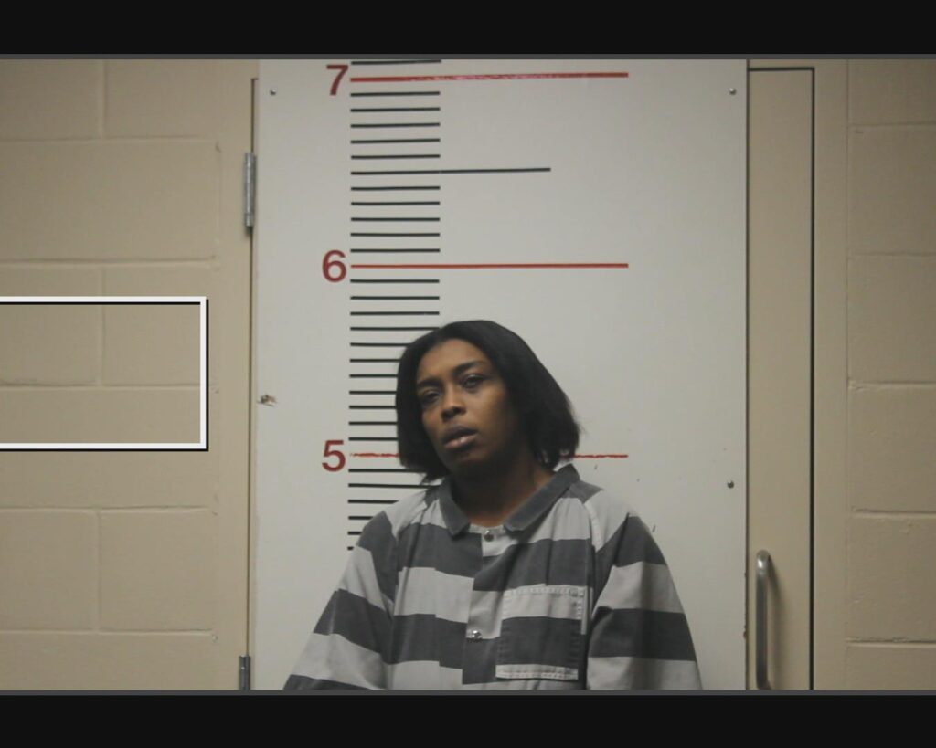 WILLIAMS, SHAUNESSY DEMIL arrested in Anderson County, Texas mugshot