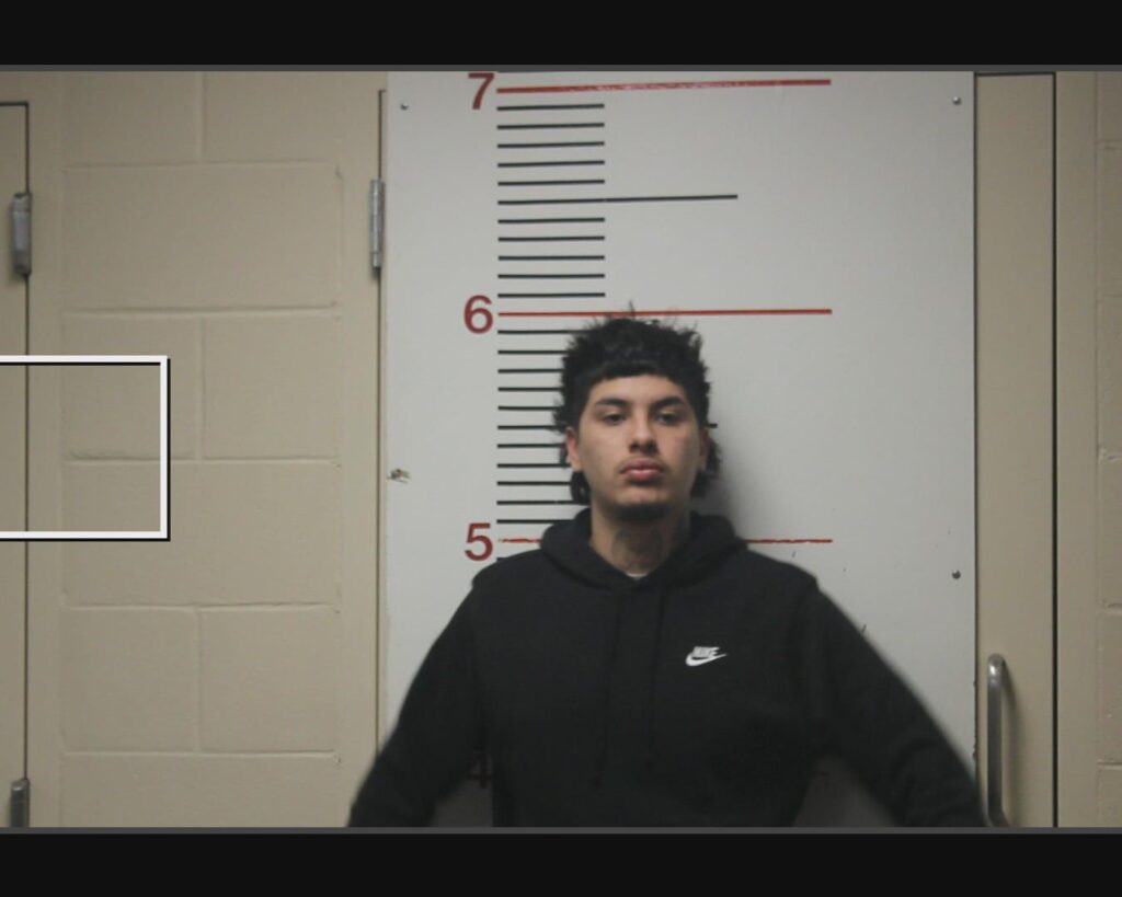 salinas, damien arrest record in Anderson County, Texas salinas, damien arrested in Anderson County, Texas mugshot