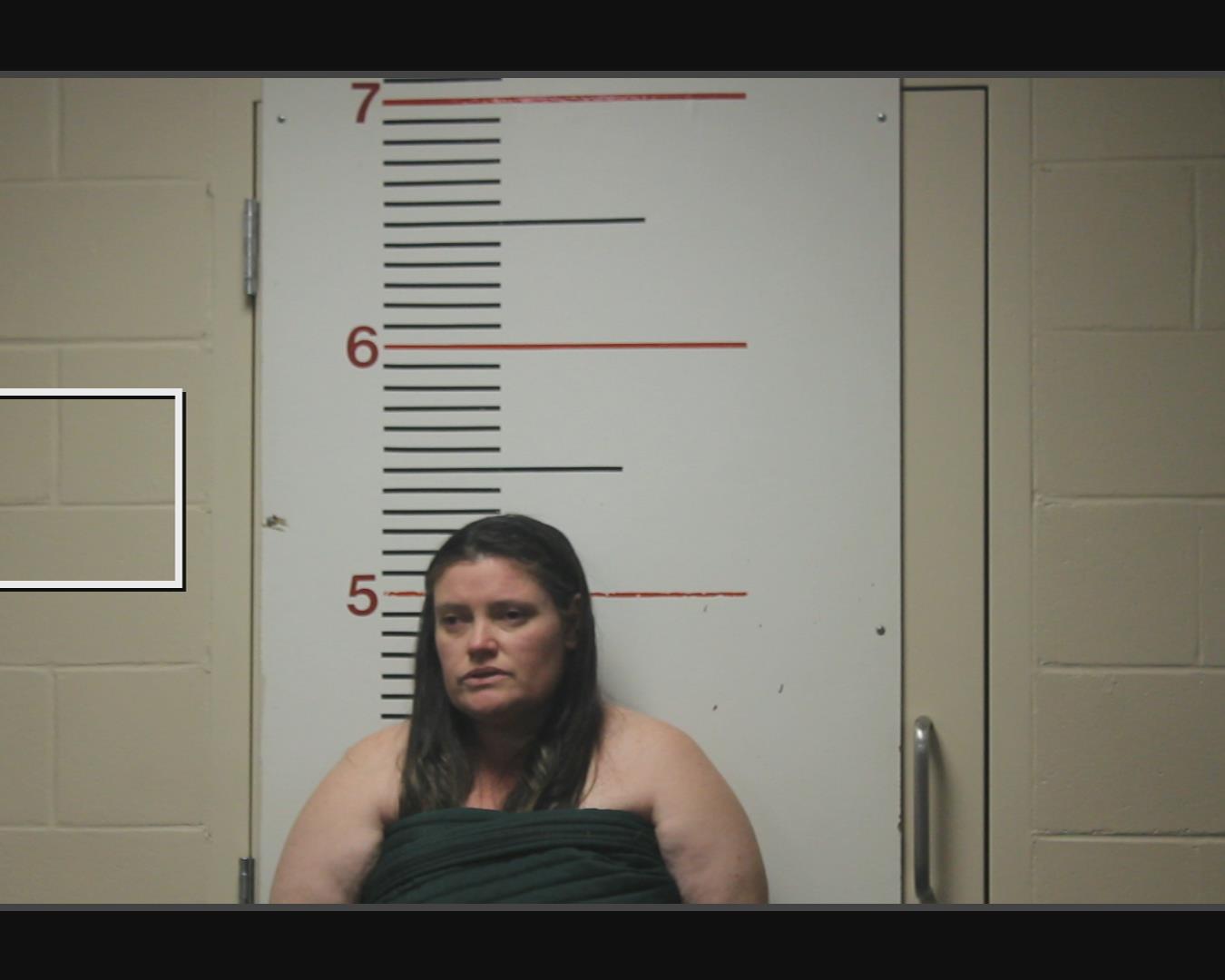 EATON, TAYLOR NICOLE booking photo