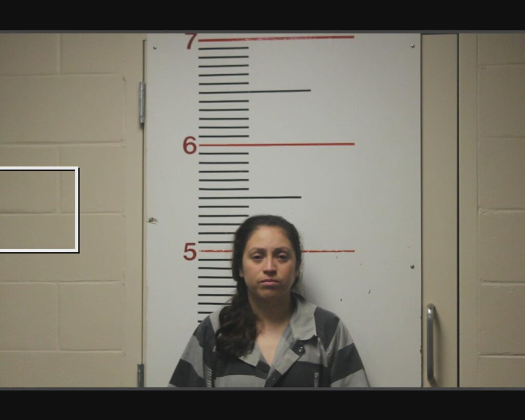 ARMENDARIZ - SAUCEDA, GLADIIS JANICE arrest record in Anderson County, Texas ARMENDARIZ - SAUCEDA, GLADIIS JANICE arrested in Anderson County, Texas mugshot