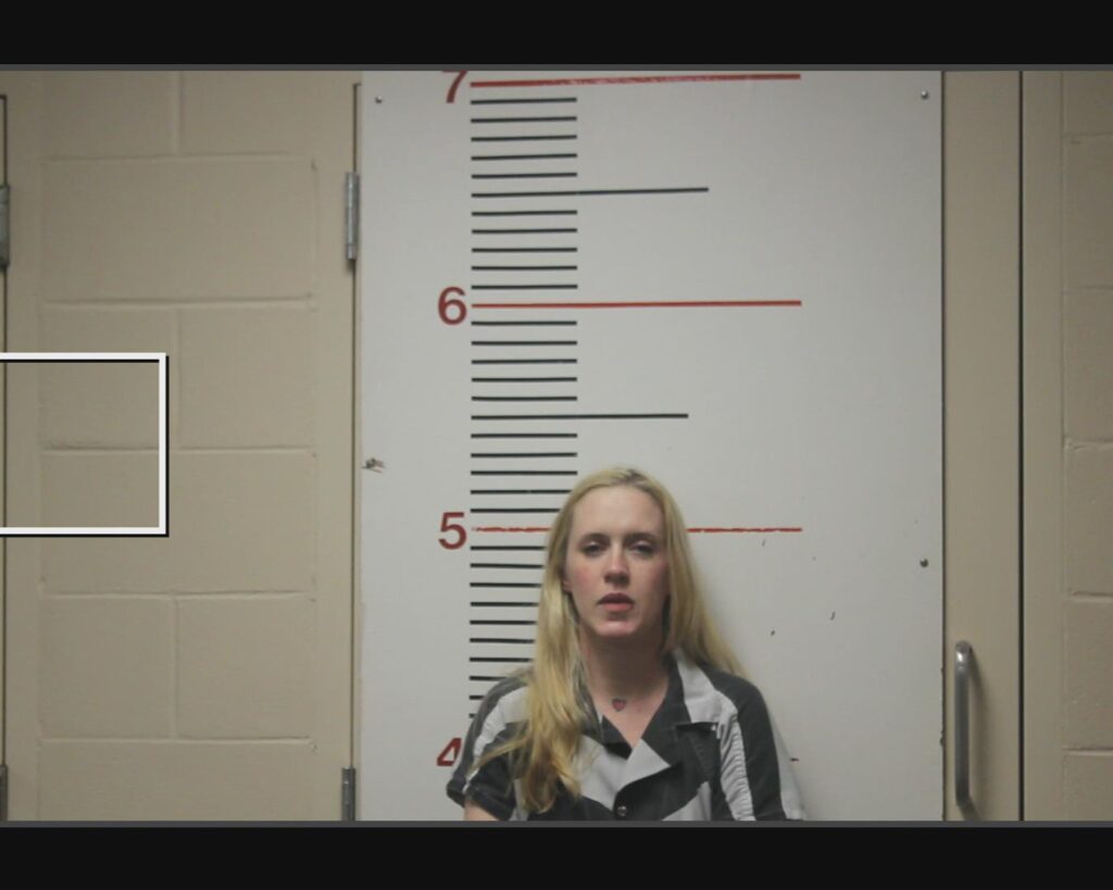 ARTHUR, KAITLYN LEEANNE arrest record in Anderson County, Texas ARTHUR, KAITLYN LEEANNE arrested in Anderson County, Texas mugshot