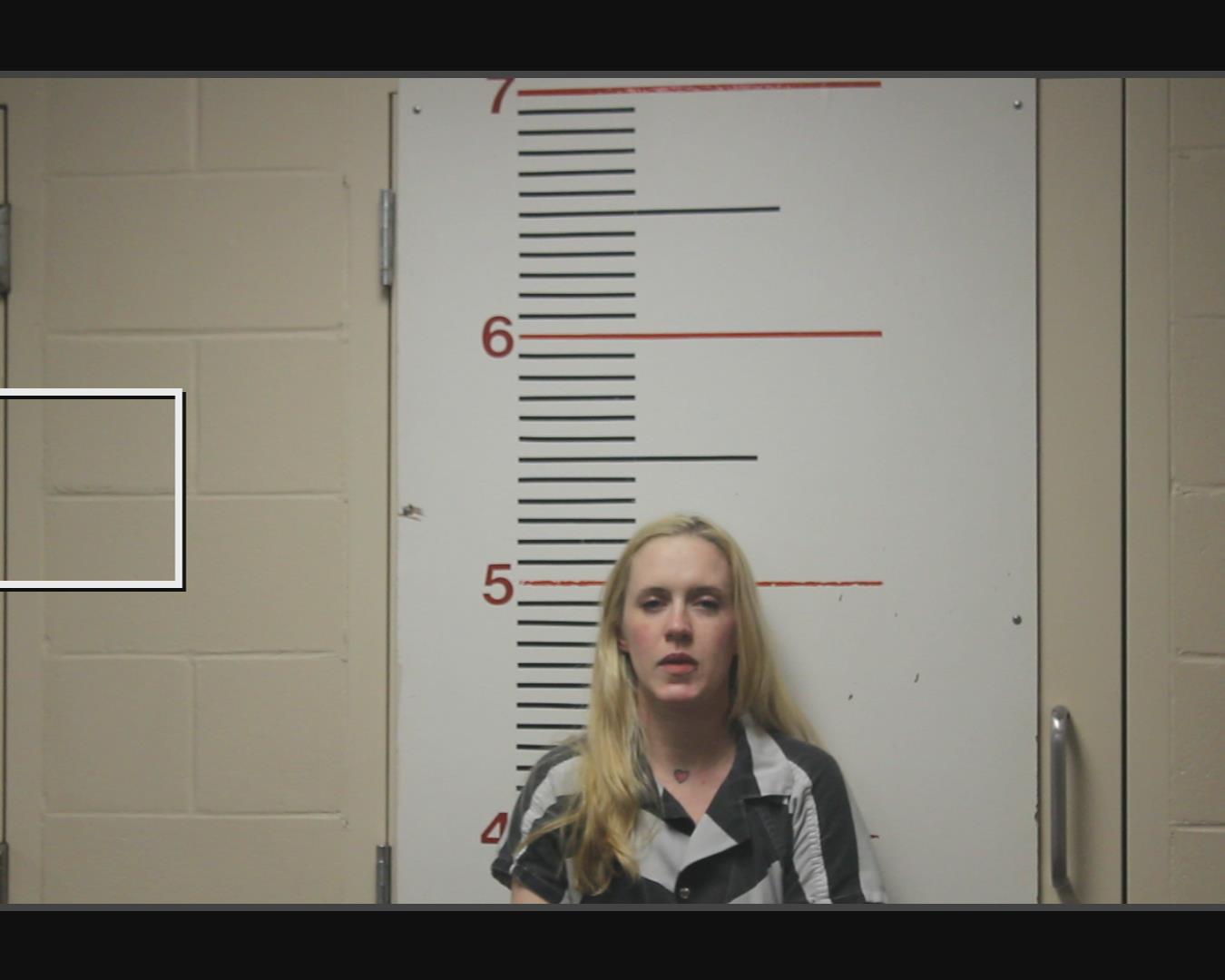 ARTHUR, KAITLYN LEEANNE booking photo