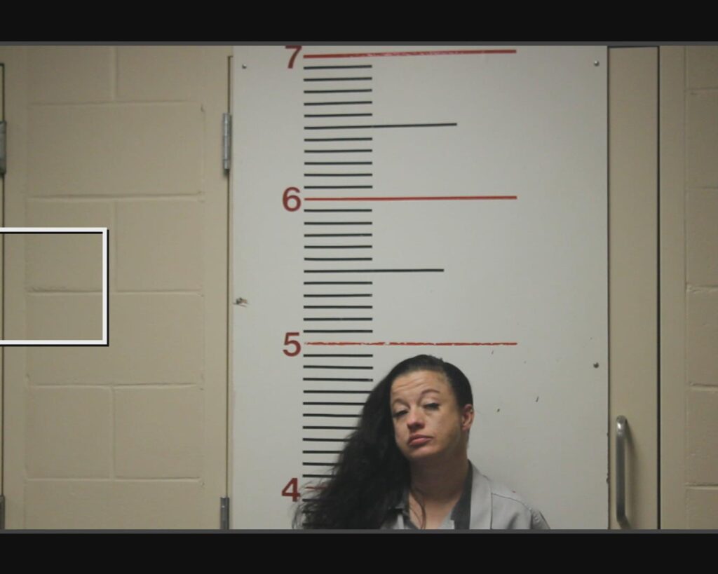 MELSON, MAGAN DANIELLE arrest record in Anderson County, Texas MELSON, MAGAN DANIELLE arrested in Anderson County, Texas mugshot