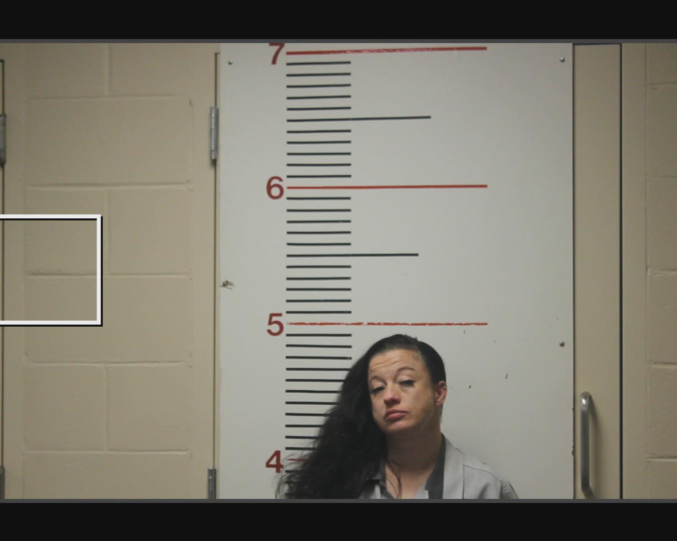 MELSON, MAGAN DANIELLE booking photo