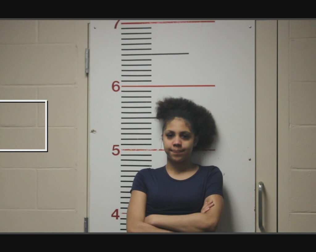 DELOACH, SAVANNAH LASHAY arrest record in Anderson County, Texas DELOACH, SAVANNAH LASHAY arrested in Anderson County, Texas mugshot