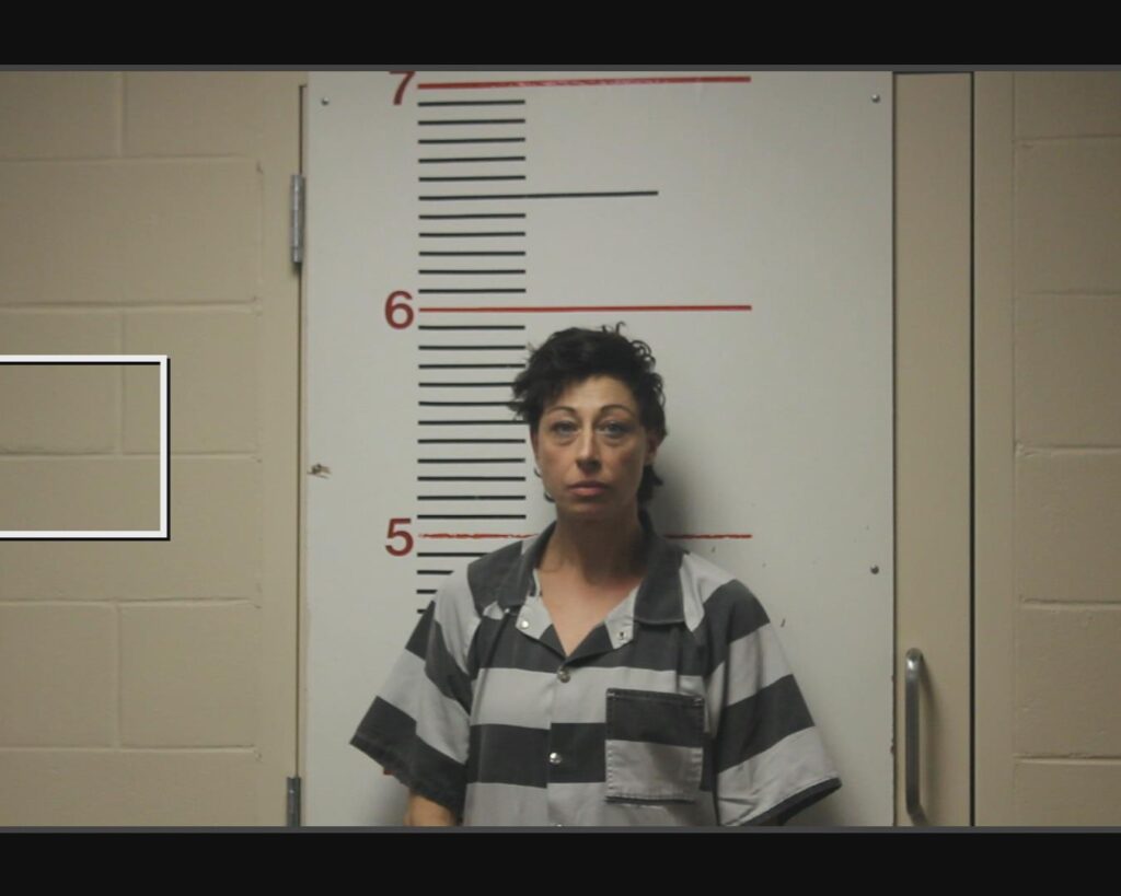 PALMER, EMMILY ESTHER arrest record in Anderson County, Texas PALMER, EMMILY ESTHER arrested in Anderson County, Texas mugshot