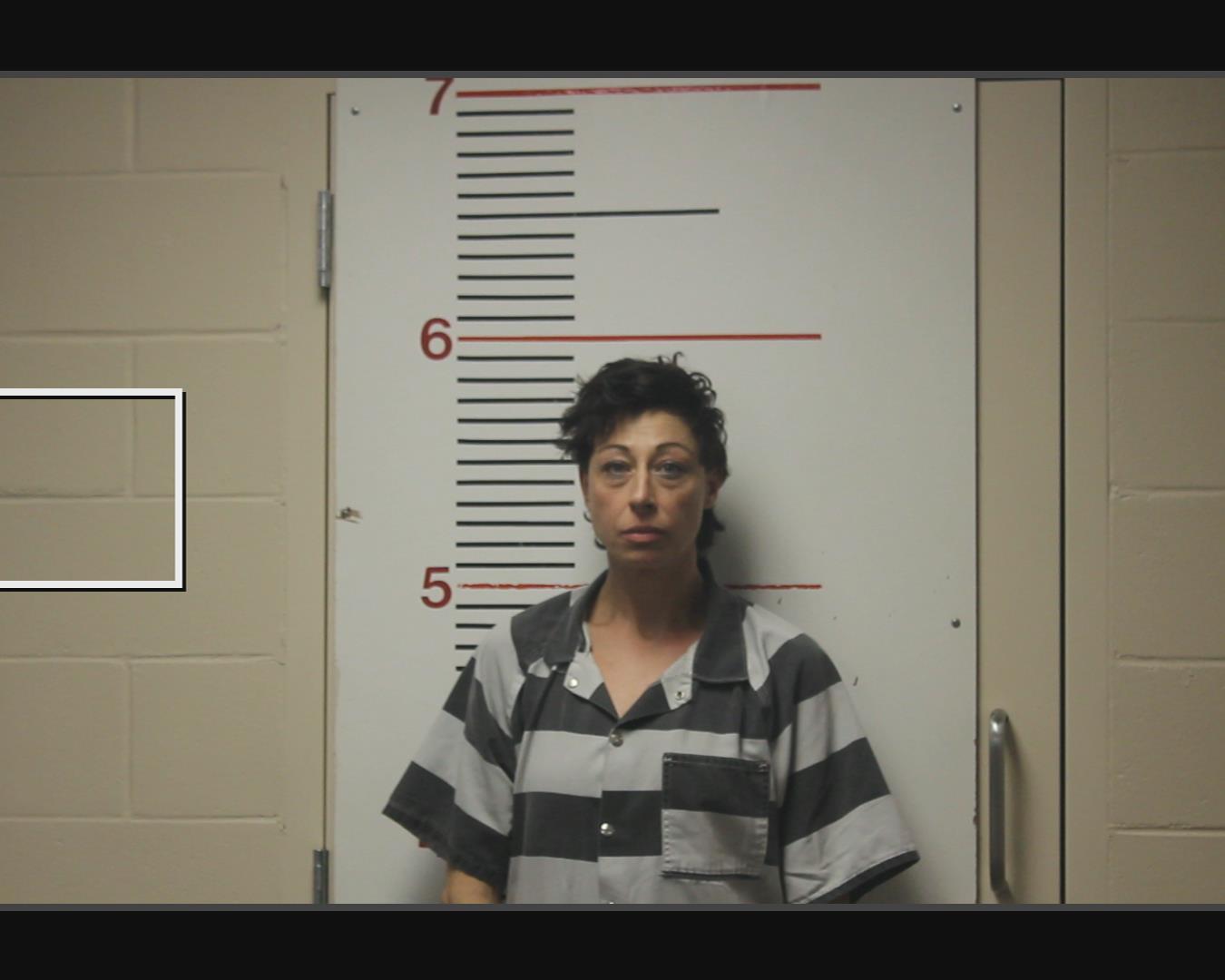 PALMER, EMMILY ESTHER booking photo