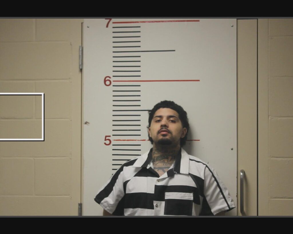 FLORES, AARON LEVI arrest record in Anderson County, Texas FLORES, AARON LEVI arrested in Anderson County, Texas mugshot