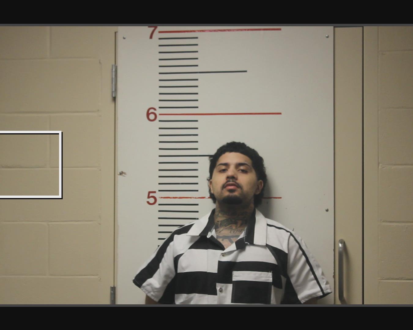 FLORES, AARON LEVI booking photo