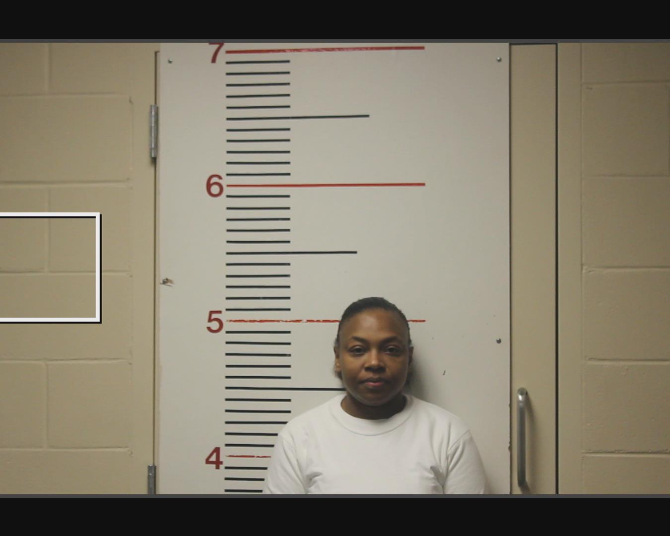 TURNER, ASHLEY LYNN booking photo