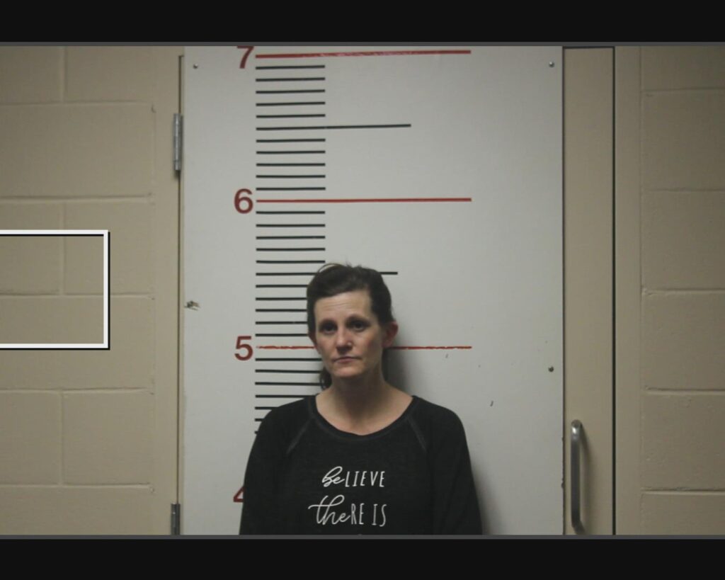 COLLINS, SARAH MELISSA arrest record in Anderson County, Texas COLLINS, SARAH MELISSA arrested in Anderson County, Texas mugshot