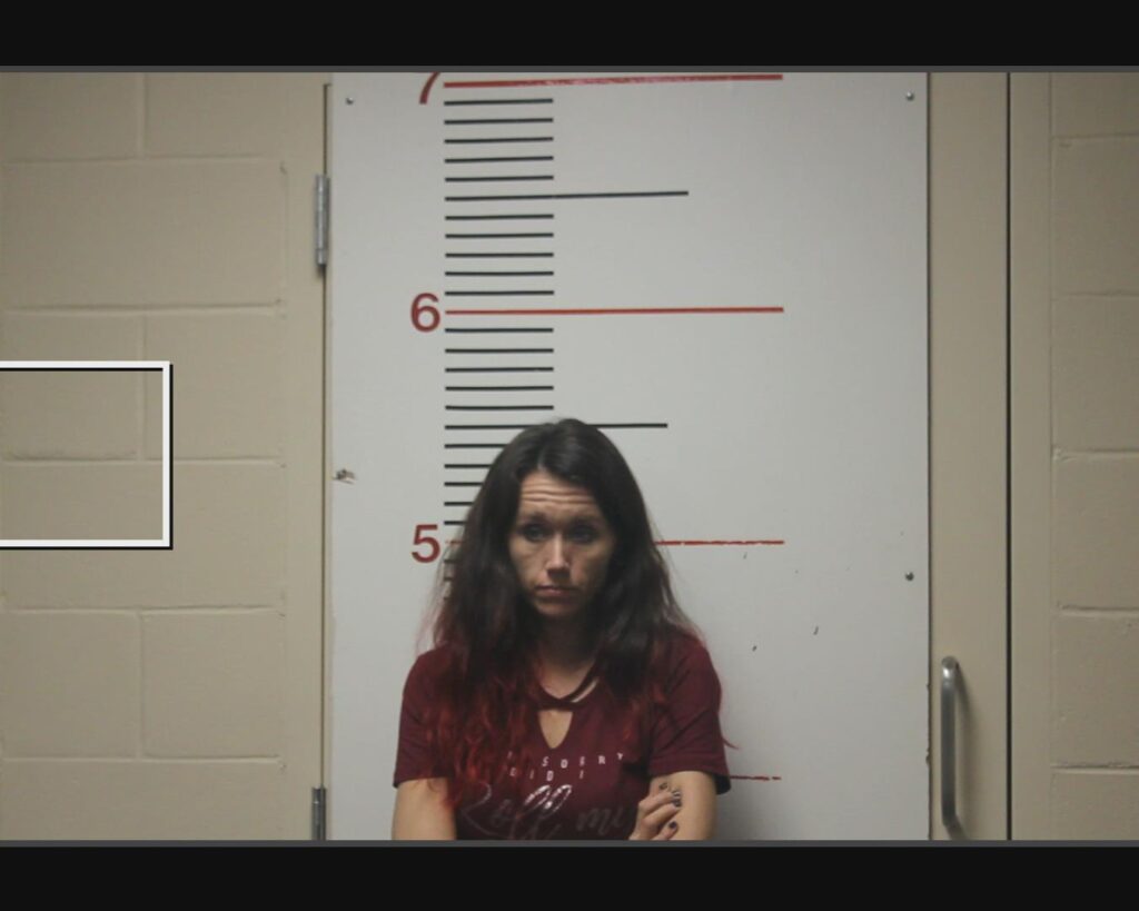 WHITESIDE, ASHLEY NICOLE arrested in Anderson County, Texas mugshot