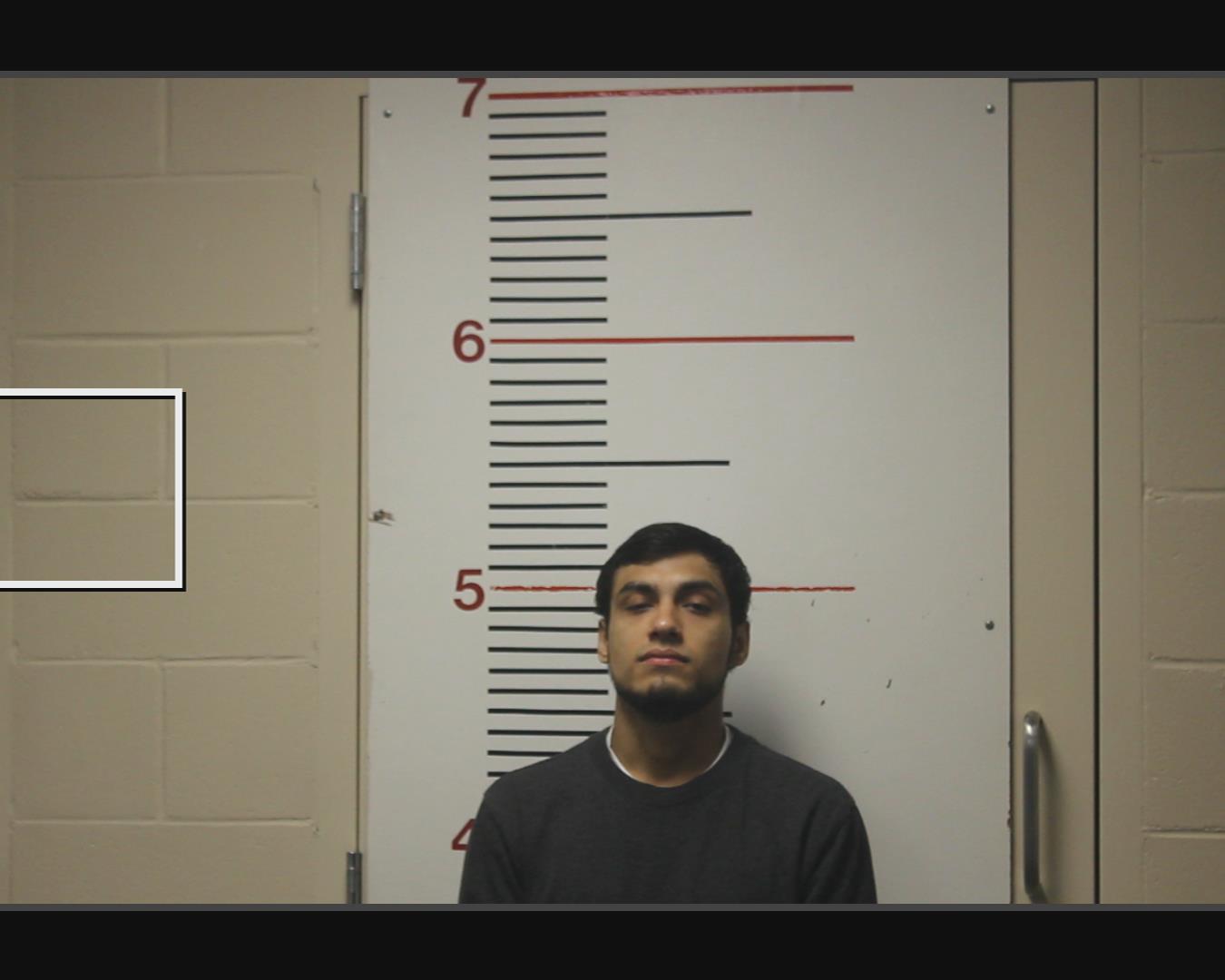 LOPEZ, LUPE AVILA booking photo