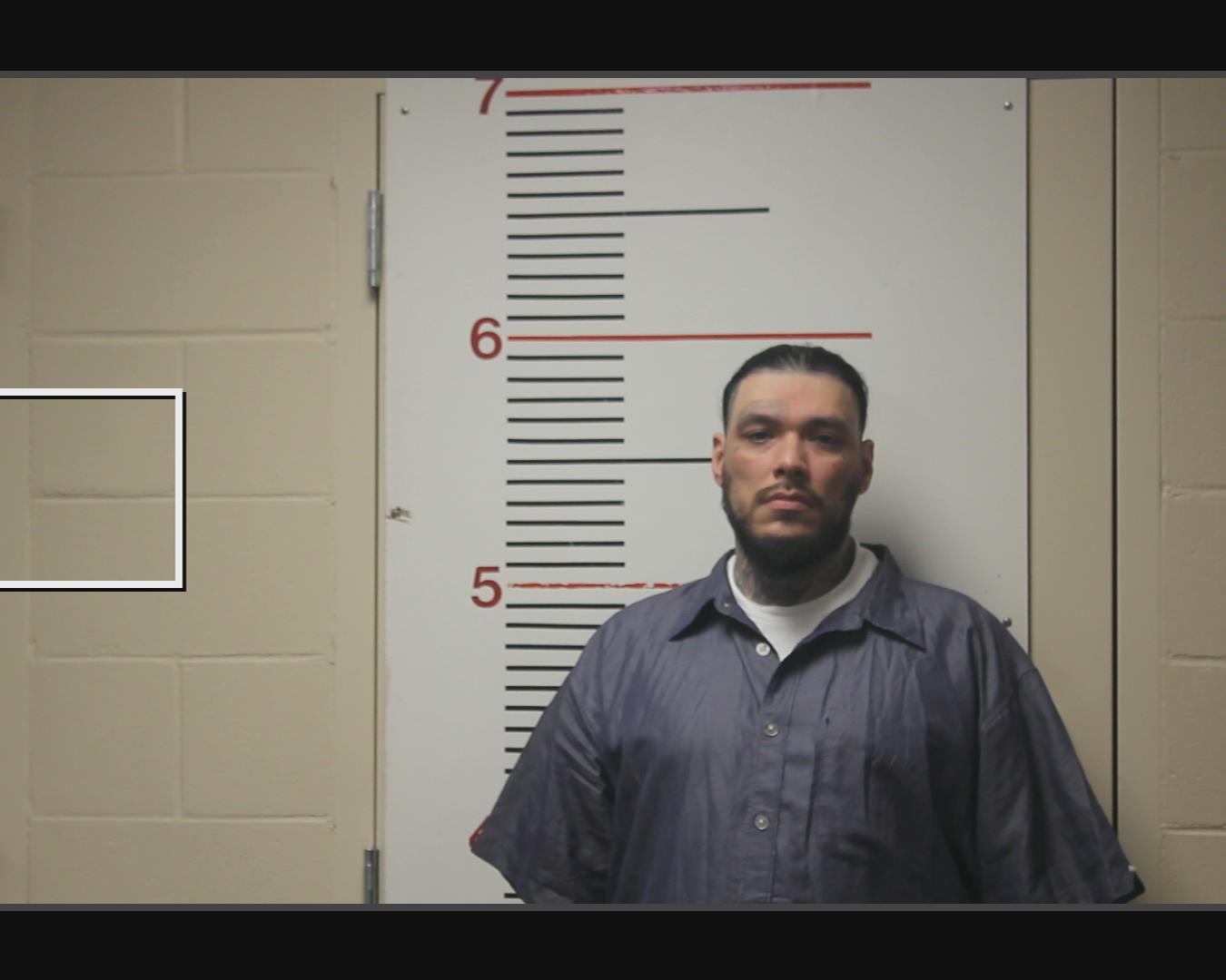 SILVA, AARON JOHN booking photo