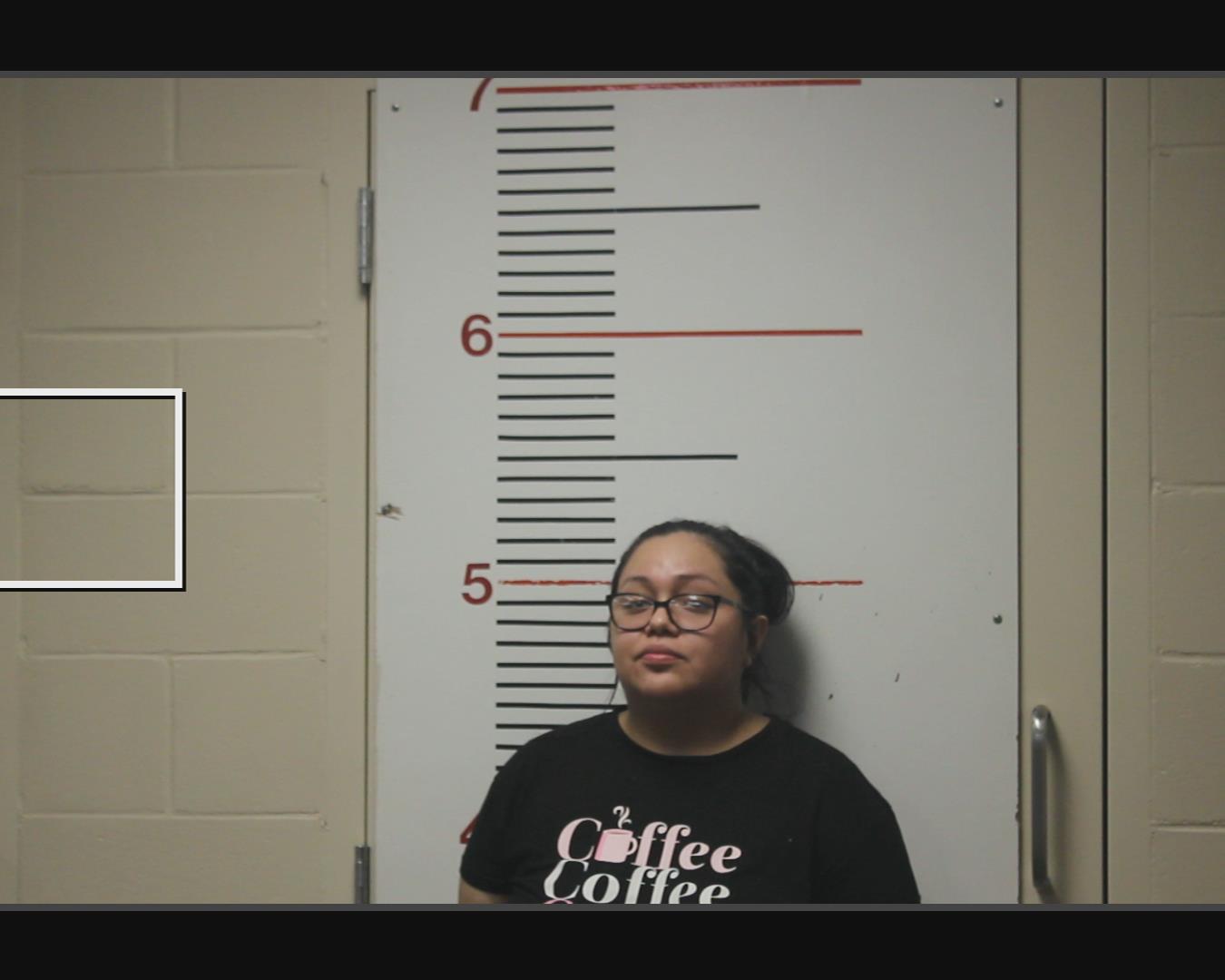 ALVARADO, YESENIA booking photo