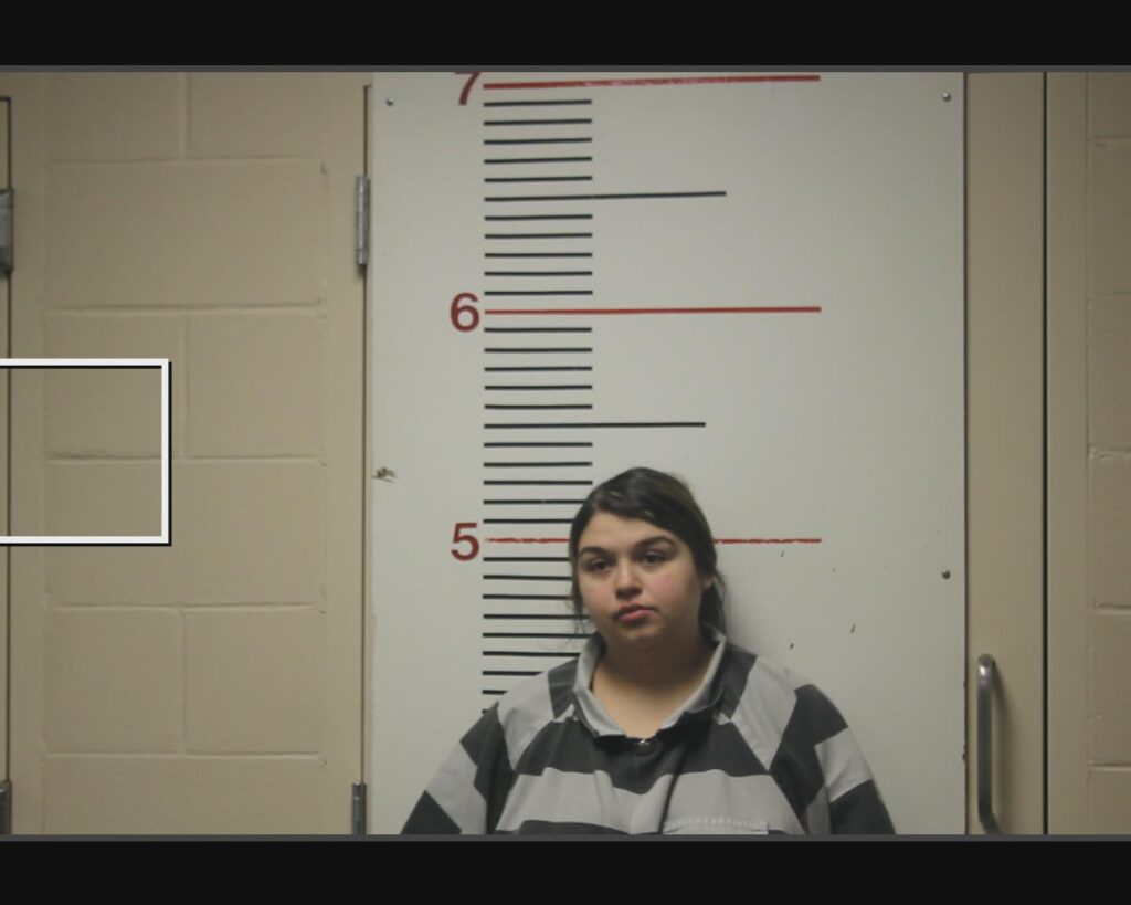 CASTILLO, BRIANNE ELYSE arrested in Anderson County, Texas mugshot