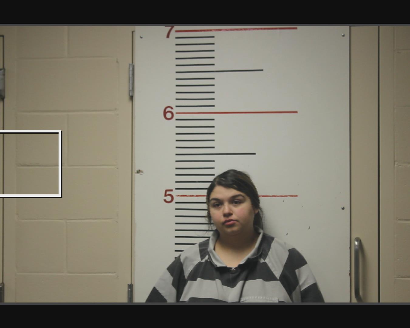 CASTILLO, BRIANNE ELYSE booking photo