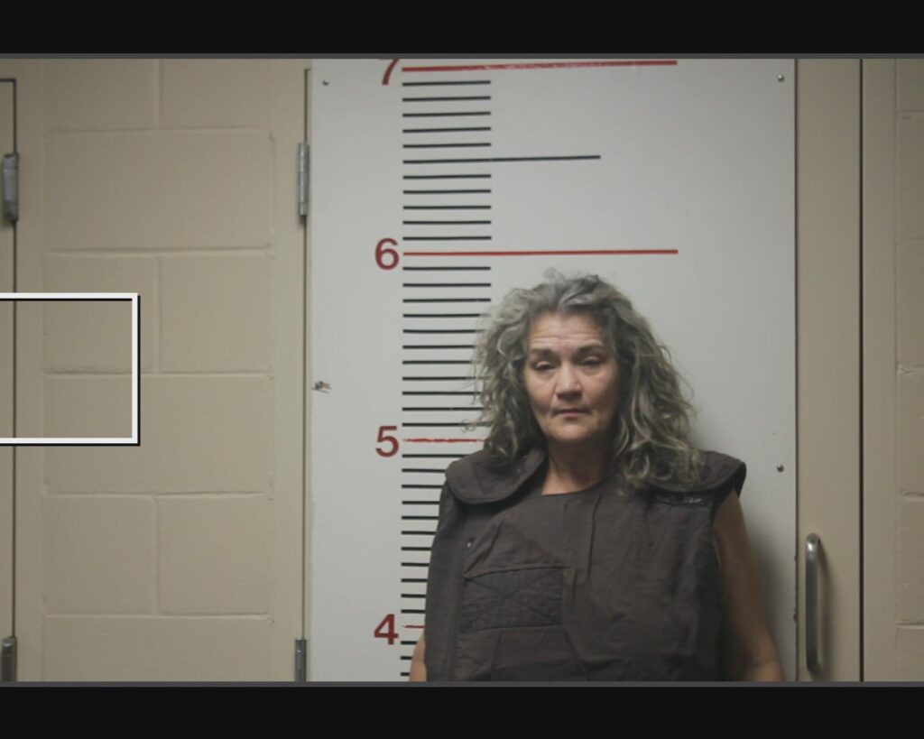 JAMES, SHEILA ALANE arrest record in Anderson County, Texas JAMES, SHEILA ALANE arrested in Anderson County, Texas mugshot