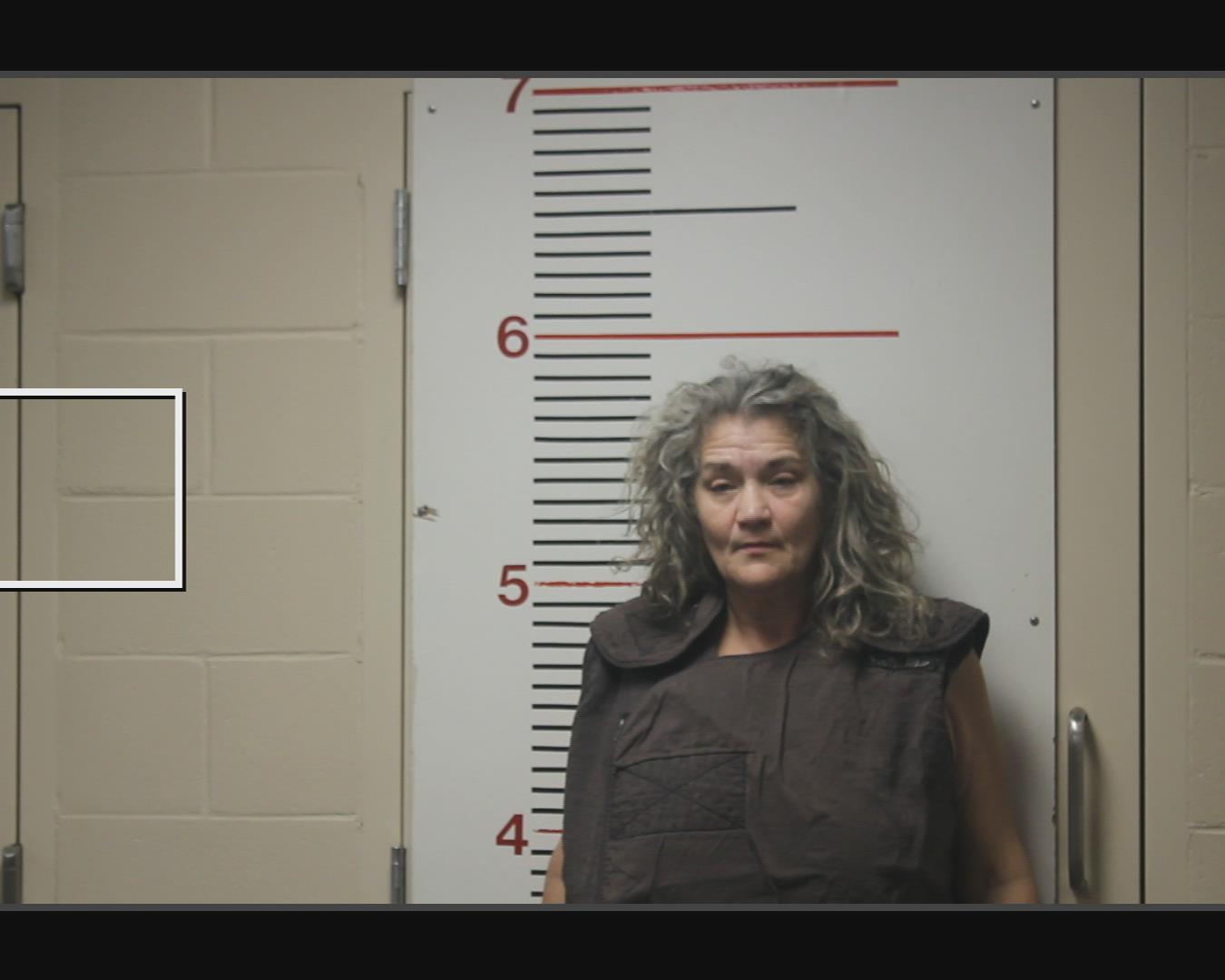 JAMES, SHEILA ALANE booking photo