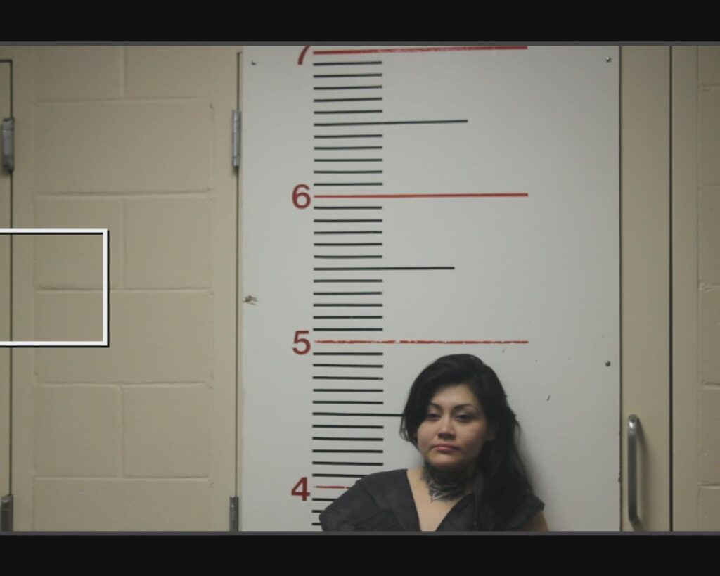 CHAVEZ, YESENIA MESHEL arrested in Anderson County, Texas mugshot