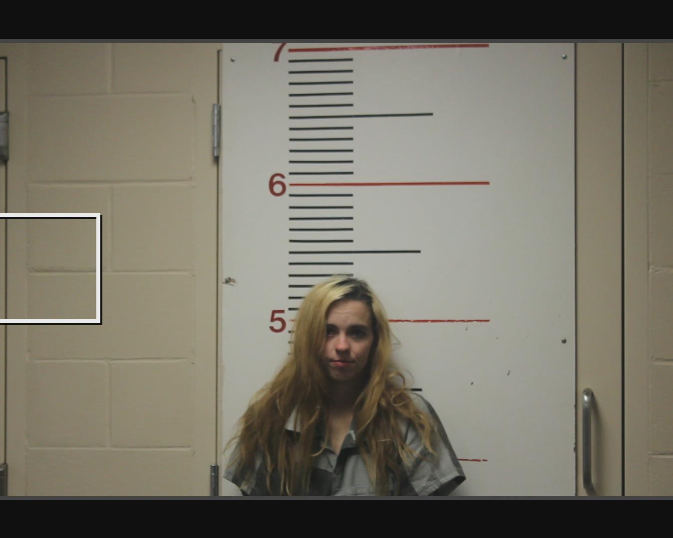 WAGLEY, JORDYNE MARIE booking photo