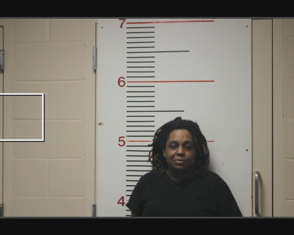 JONES, DEMETRIA DESHOUN arrested in Anderson County, Texas mugshot