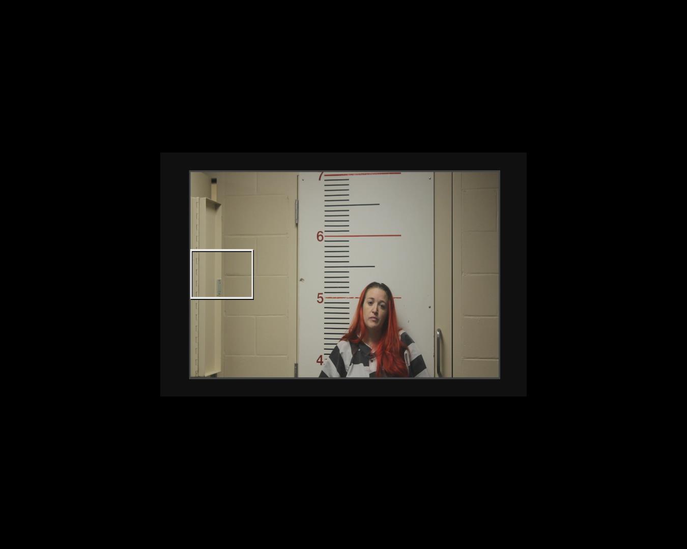 VERNON, LEAH ANN booking photo