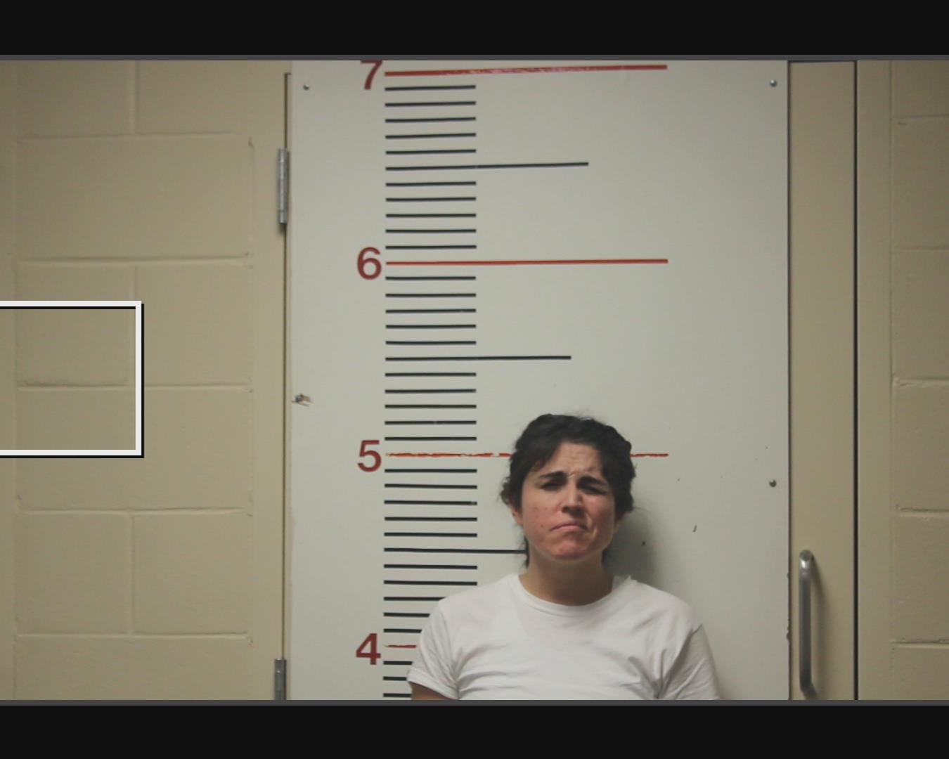 PANELLI, FALENE AMANDA booking photo