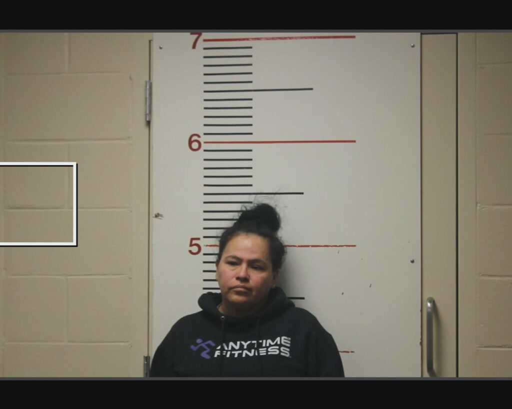 FERRETIZ, IMELDA arrested in Anderson County, Texas mugshot