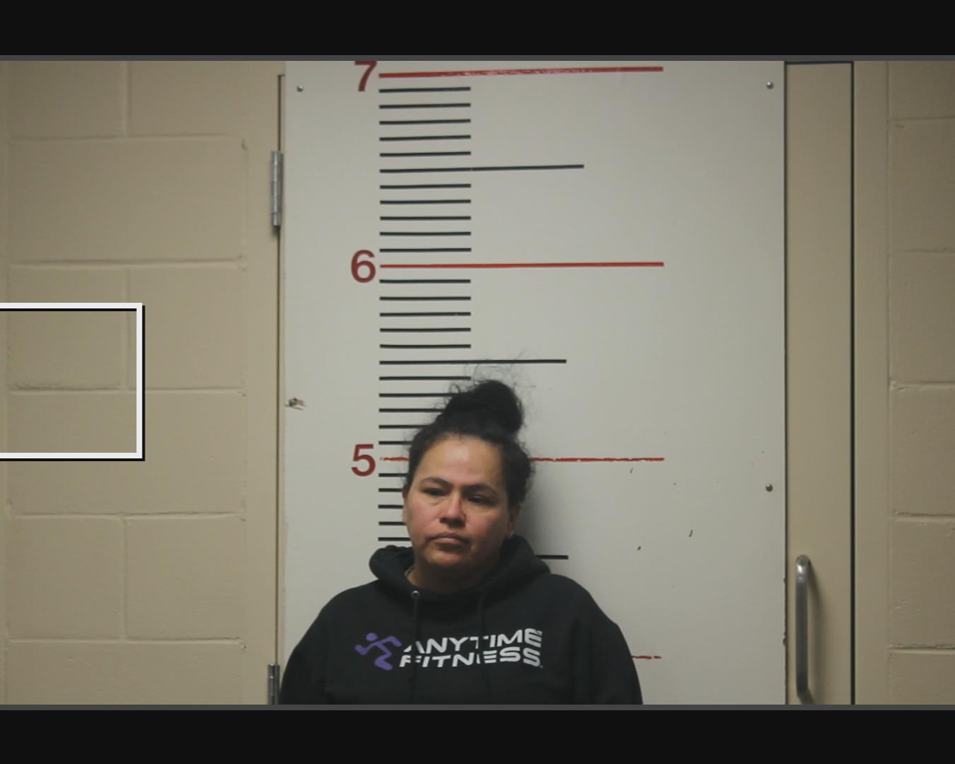 FERRETIZ, IMELDA booking photo