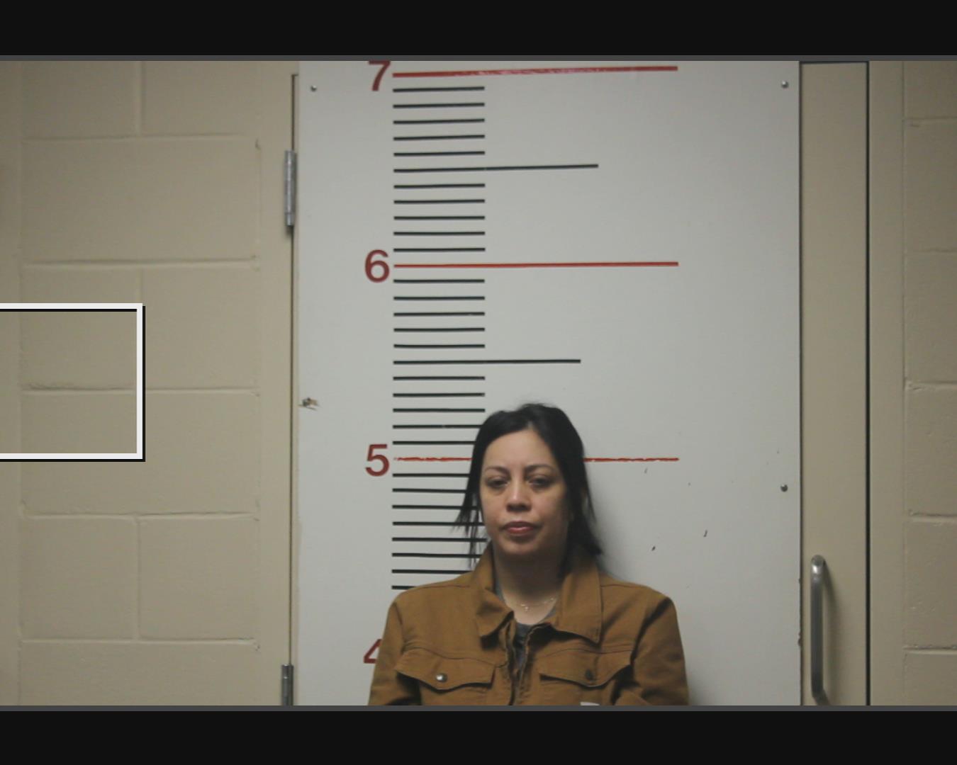 GONZALES, MARY booking photo