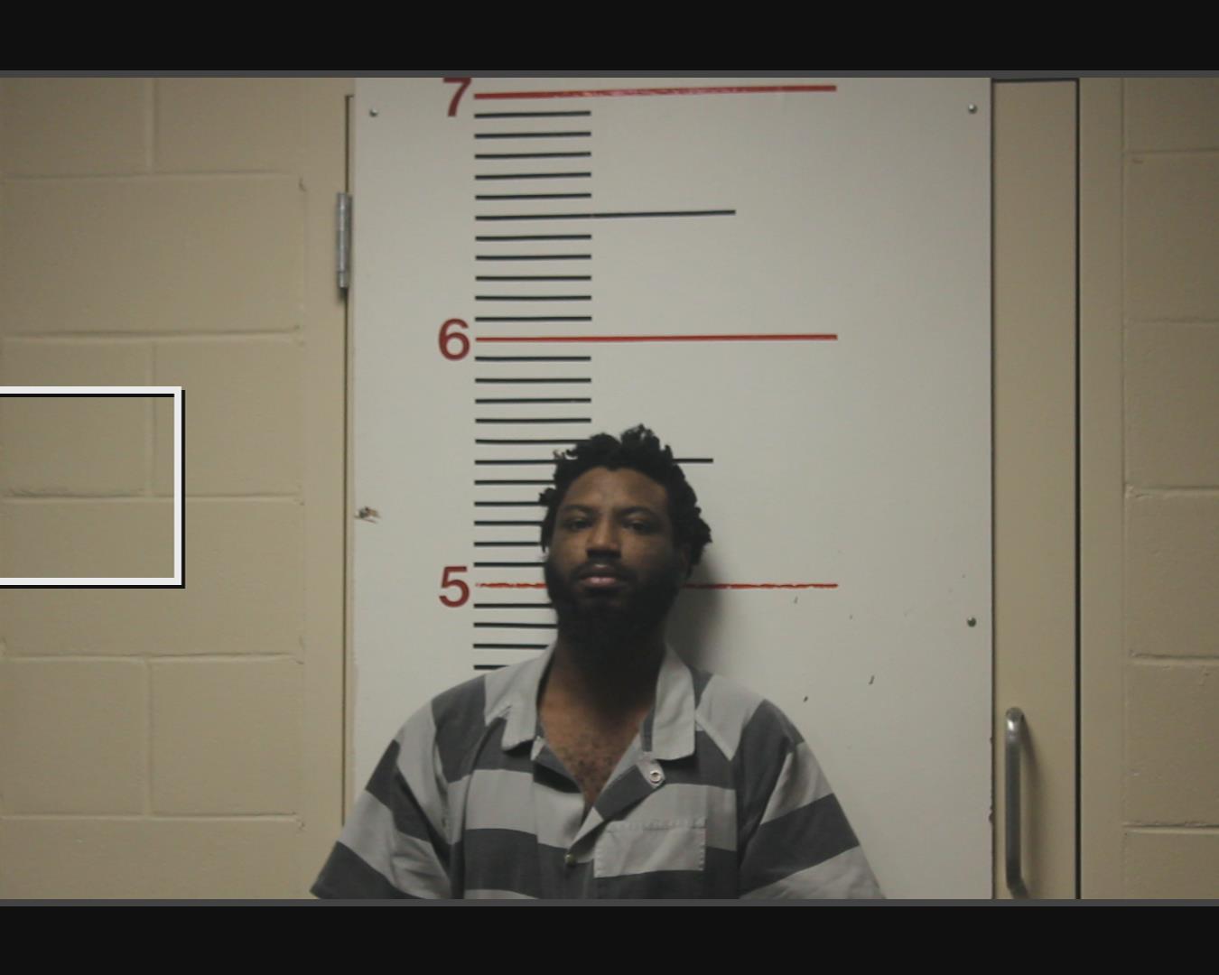 BRYANT, DERICK DERNELL, Jr. booking photo