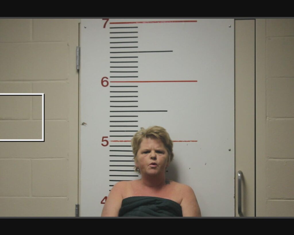 FAULKS, TINA MARIE arrest record in Anderson County, Texas FAULKS, TINA MARIE arrested in Anderson County, Texas mugshot