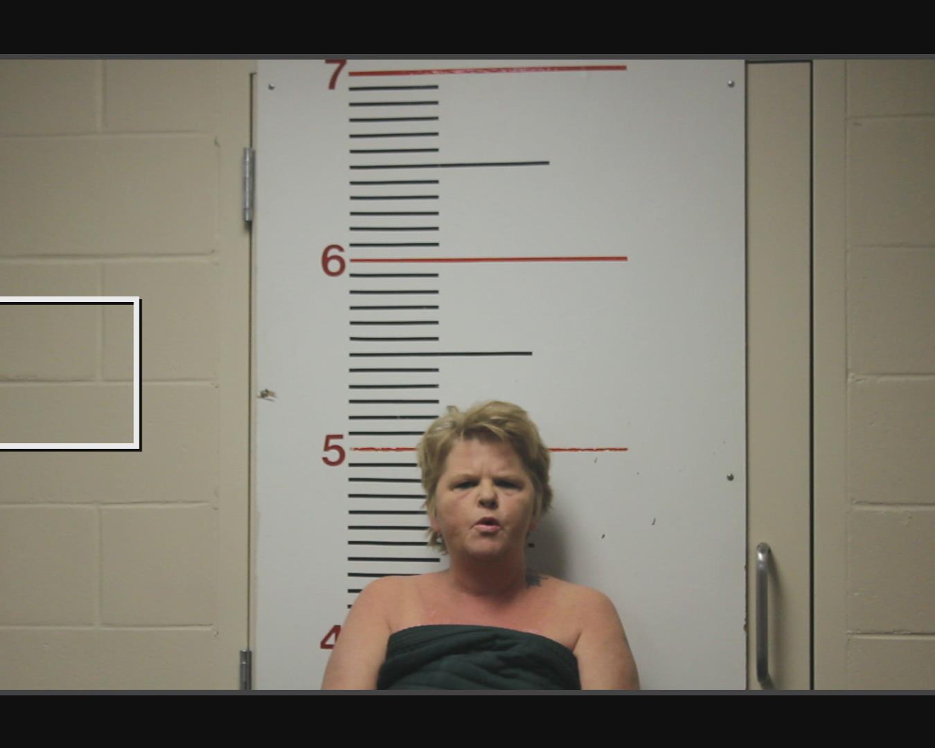 FAULKS, TINA MARIE booking photo