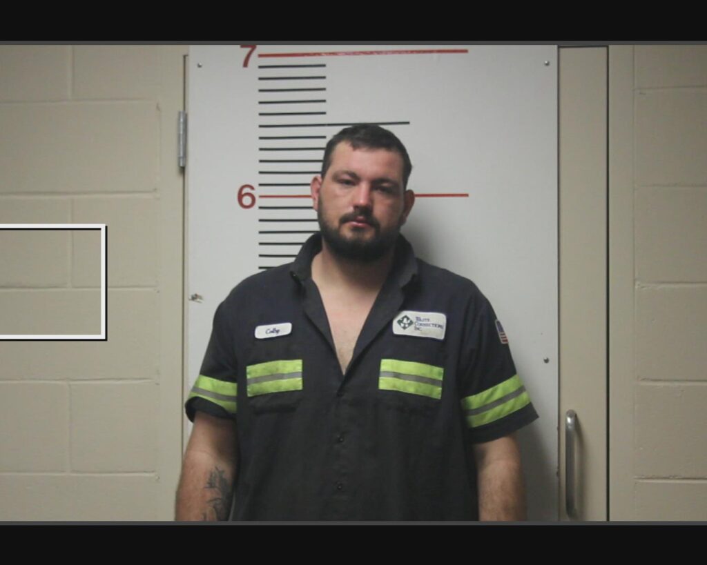ARTZ, COLBY JO arrested in Anderson County, Texas mugshot